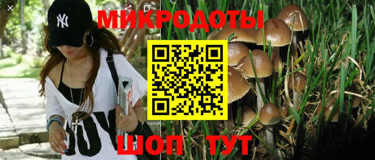 Бийск  Псилоцибиновые грибы Cubensis  Вход с VPN 